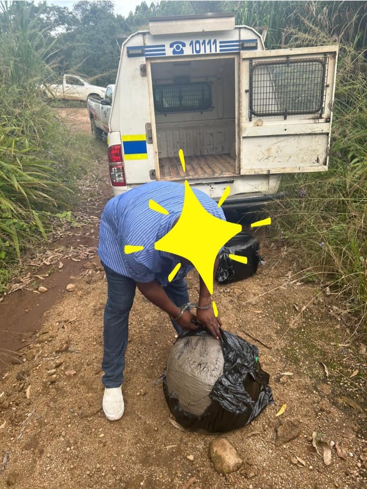 A police captain bust for allegedly trafficking dagga. 