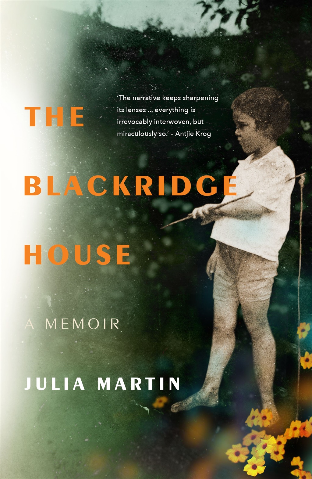 The Blackridge House by Julia Martin, published by Jonathan Ball Publishers.