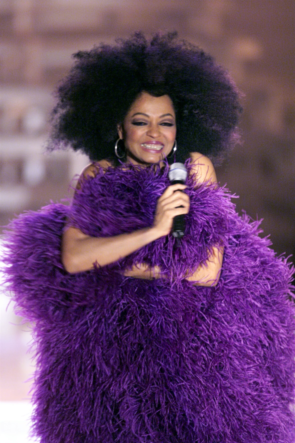 Diana Ross style icon