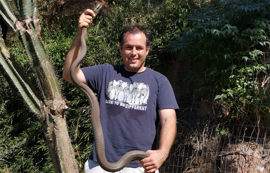 Veteran KwaZulu-Natal-based snake catcher Nick Evans with a 2.95m black mamba. (Supplied by Nick Evans)