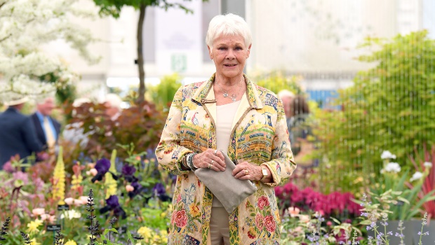 Dame Judi Dench. Photo by Karwai Tang/WireImage via Getty Images