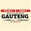 Battleground Gauteng – The chiefs and the kingmakers