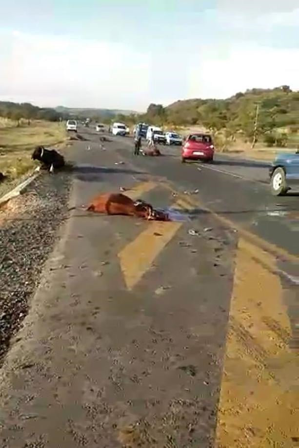 According to the Road Traffic Management Corporation’s Festive Season Plan for 2023/24, Moloto Road, which stretches over 160km, tops the list of the country’s 10 most dangerous roads