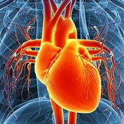 WATCH | Can Artificial Intelligence assess heart function?