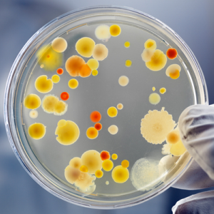 Bacteria can develop resistance to antibiotics. 