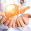 Lungs, hearts infected with hepatitis C can still be transplanted