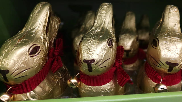 Lindt chocolate bunnies (with bells on)