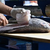 South Korean market tests fish, seafood to dispel Fukushima radiation fears