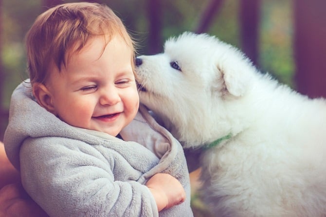 A child's best friend is a puppy