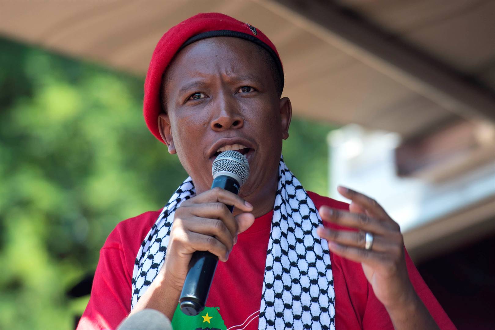 Anc Calls For Malema To Return City Press