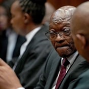 Zuma accused of expropriation without compensation of artist's paintings
