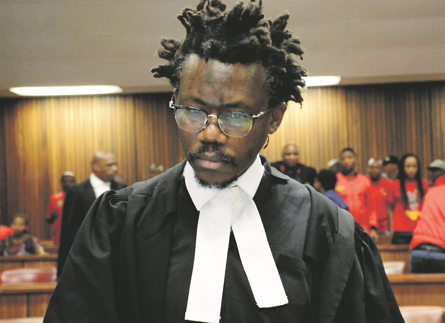 The Land is Ours by Tembeka Ngcukaitobi