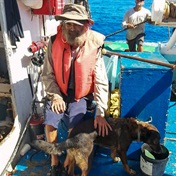 WATCH | 'I am so grateful': Australian 'Cast Away' sailor and his dog back on dry land