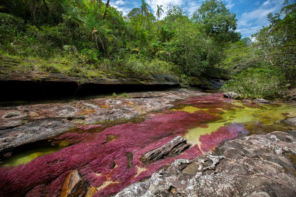 Cao Cristales photographed Monday, August 12, 2019