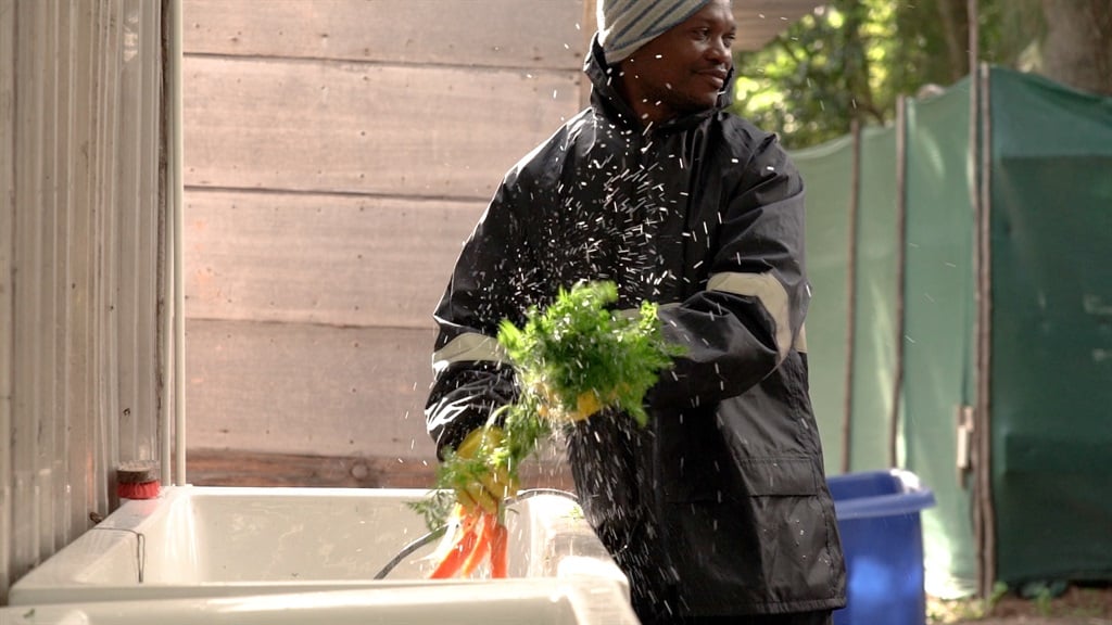 Community food gardens in South Africa