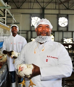 Kholofelo Maponya, CEO of Daybreak Farms, says his company produces 1.3?million birds and 2?million eggs every week. PHOTO: ELIZABETH SEJAKE 
