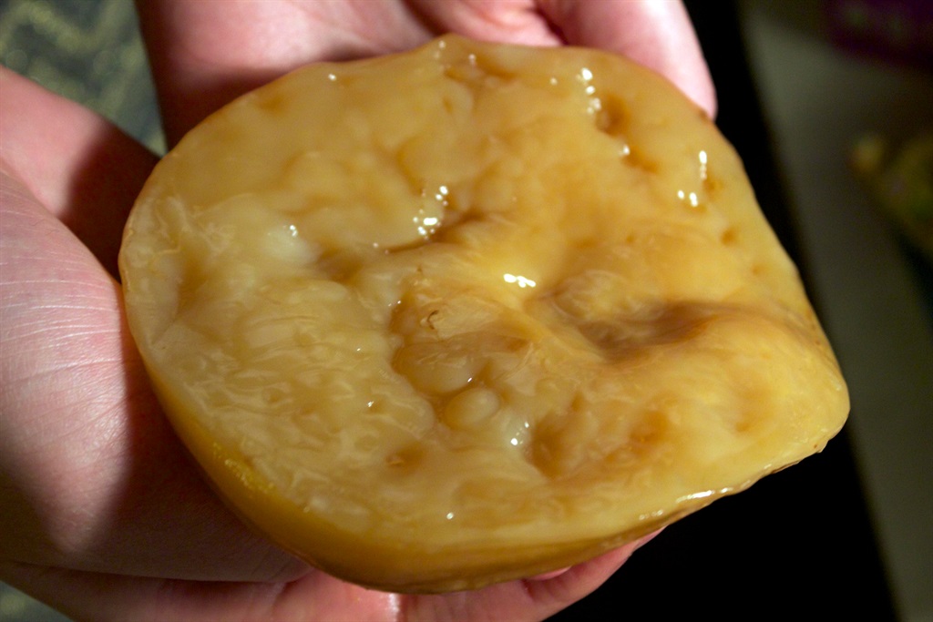 Scoby is used for making kombucha.