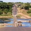 Investigation into staff complaints of racism, torture at Kruger Park