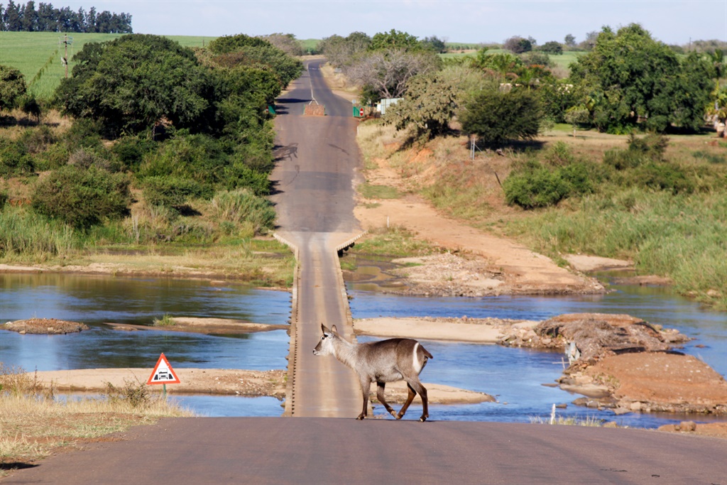 The Kruger Park may be like heaven for visitors, but employees say that working there is like hell. Picture: iStock