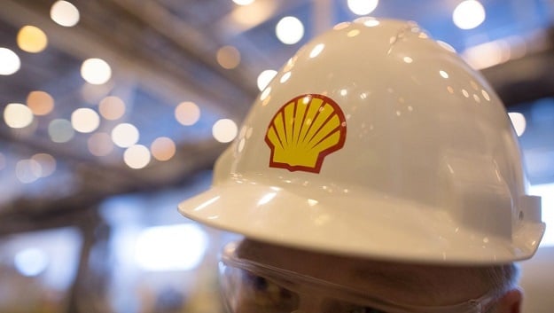 Shell said it has "long experience" in collecting seismic data and the welfare of wildlife is a major factor in the "stringent" controls used. 
