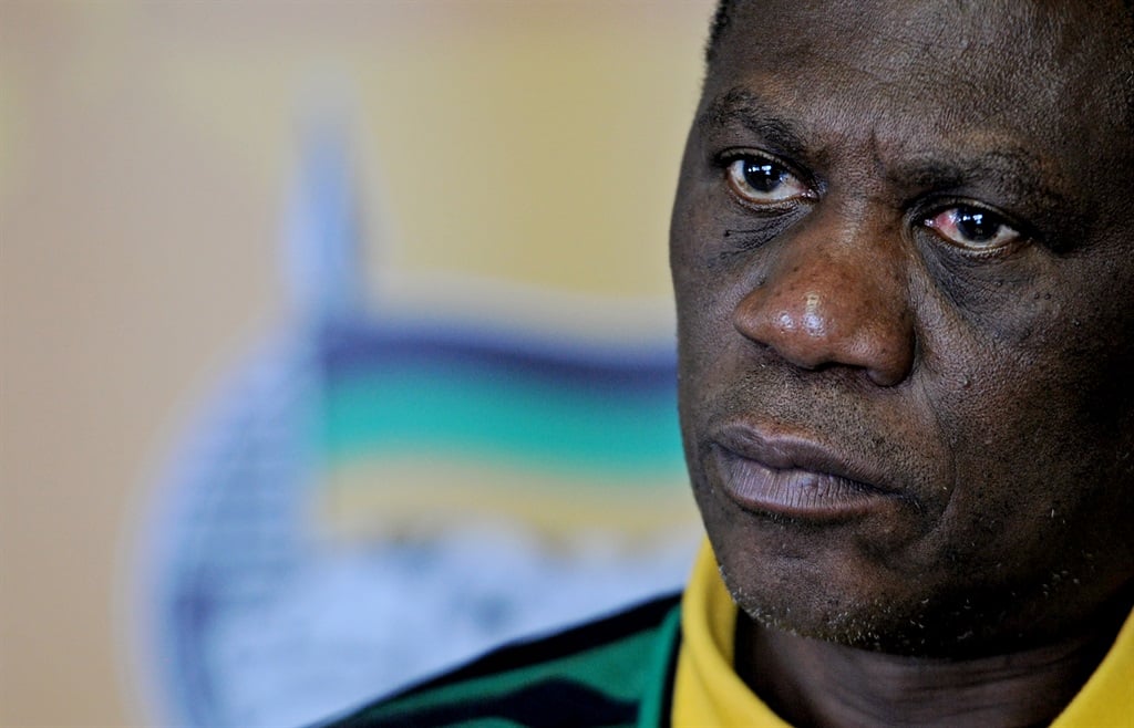 Deputy President Paul Mashatile. 