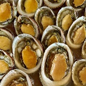 Two fined for R6.5m abalone seizure in Welgemoed
