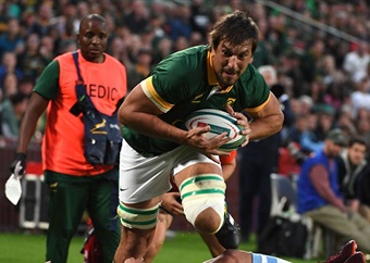 Erratic Springboks survive almighty Williams and Pumas scare to get back to winning ways