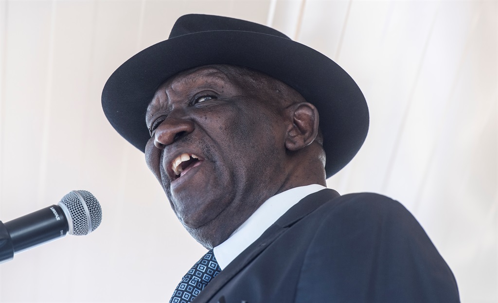 Minister Bheki Cele said they will deal decisively with illegal activities.  Photo by Gallo Images