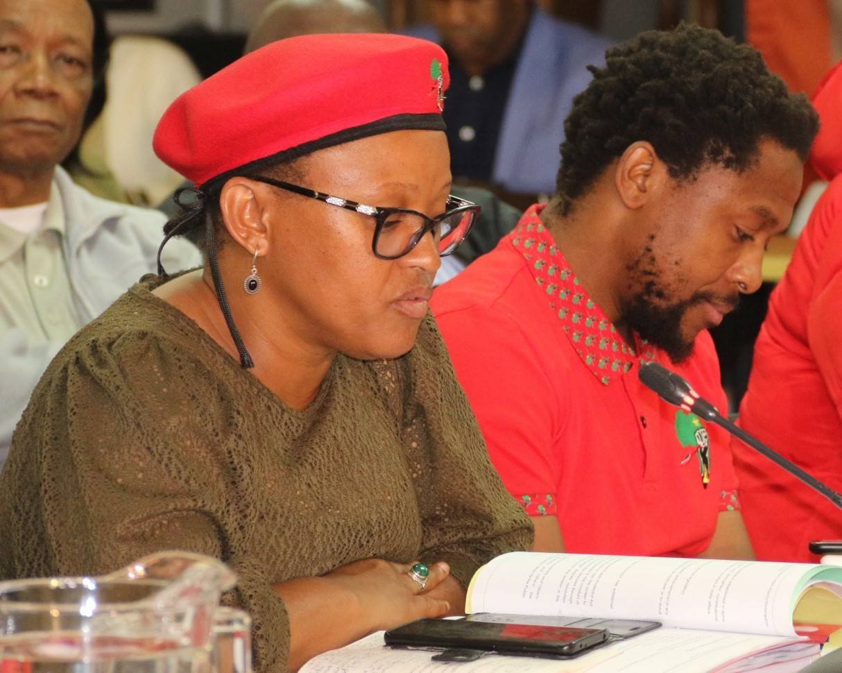EFF Gauteng provincial chairperson Mandisa Mashego with the party’s national spokesperson Mbuyiseni Ndlozi at the Alexandra inquiry on Thursday where Mashego gave testimony. Picture: Palesa Dlamini