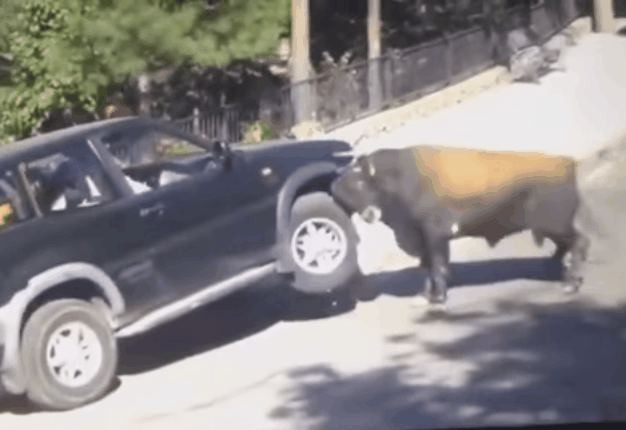<B>MIND THE HORNS!</B> The family in this Nissan Terrano had the fright of their lives when a bull rammed their SUV. <I>Image: YouTube</I>