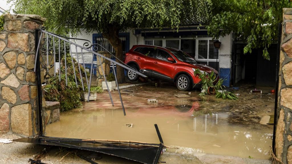 A car is photographed stranded in a garden in the 