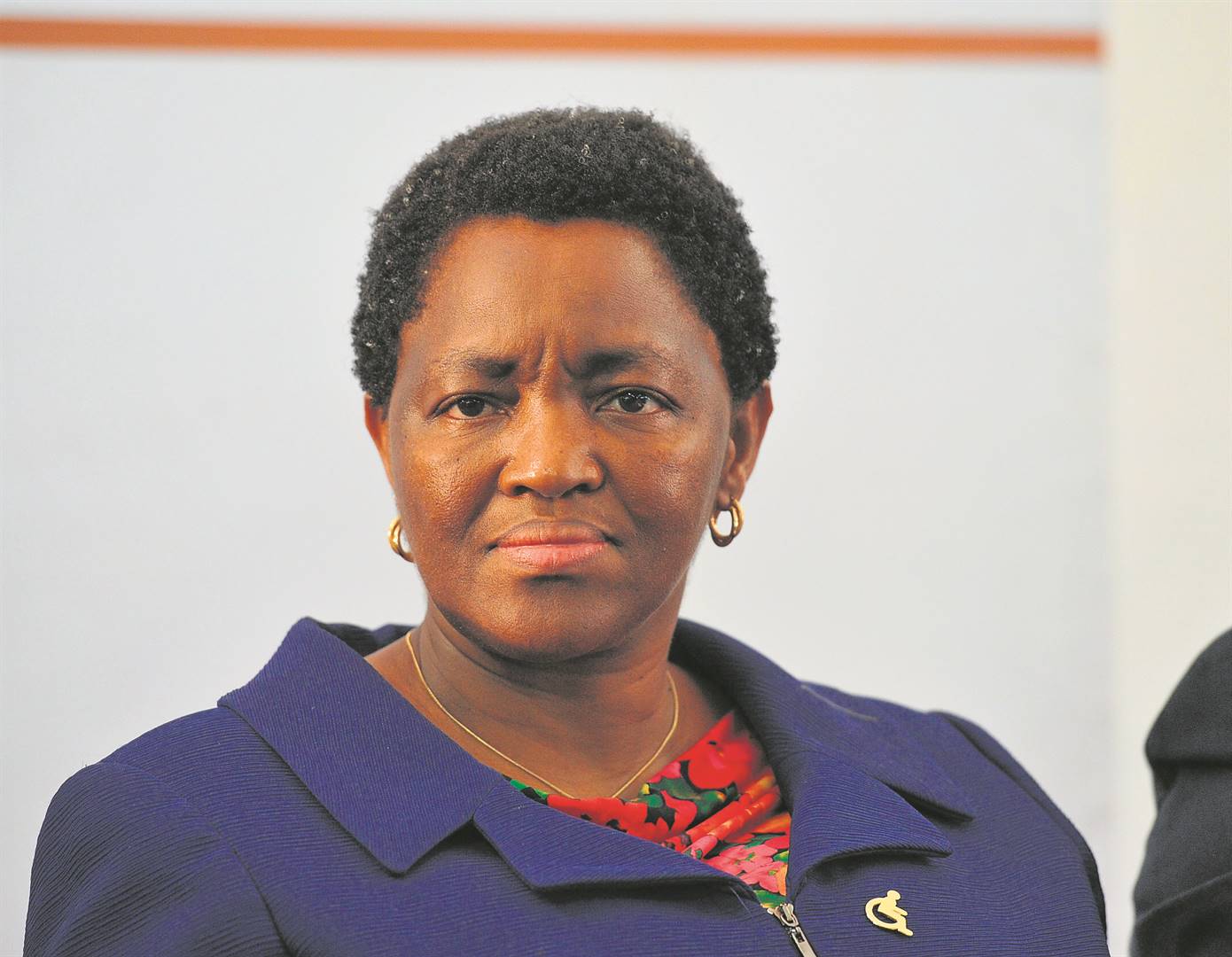 ANC Women's League president Bathabile Dlamini
