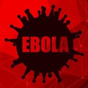 How could the DRC possibly stop the spread of Ebola into neighbouring countries?