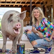 Pigcasso, the pig whose art captivated a million hearts, has died at age eight