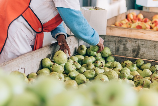 Since its official launch in February 2021, OneFarm Share has distributed over 5,000 tonnes of fresh produce resulting in an incredible 20 million meals being created. (Image: Supplied)