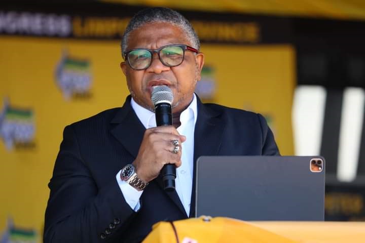 ANC’s Secretary General Fikile Mbalula said the fi