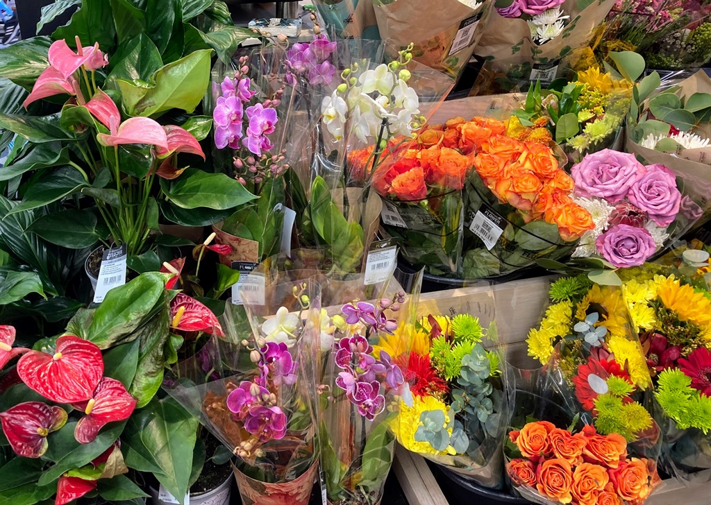 A range of healthy-enough-looking fresh-cut flowers.