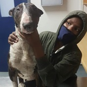 Cape Town teen dedicates his time to help sick stray dogs