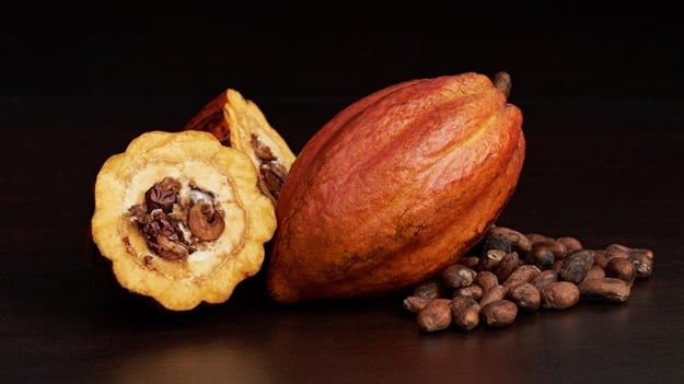 Cocoa pods