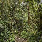 Ecuador to stop oil drilling in Amazon reserve
