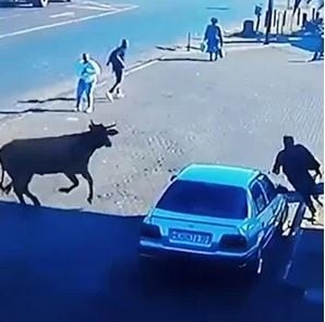 WATCH ANGRY BULL KNOCKS OVER WOMAN IN TOWN Daily