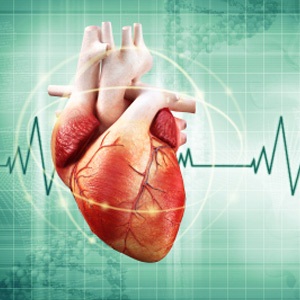 Heart transplants have saved many lives. 