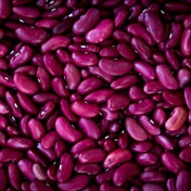 Getting your protein from plants a recipe for longevity