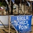 Ebola mutations make virus more contagious 
