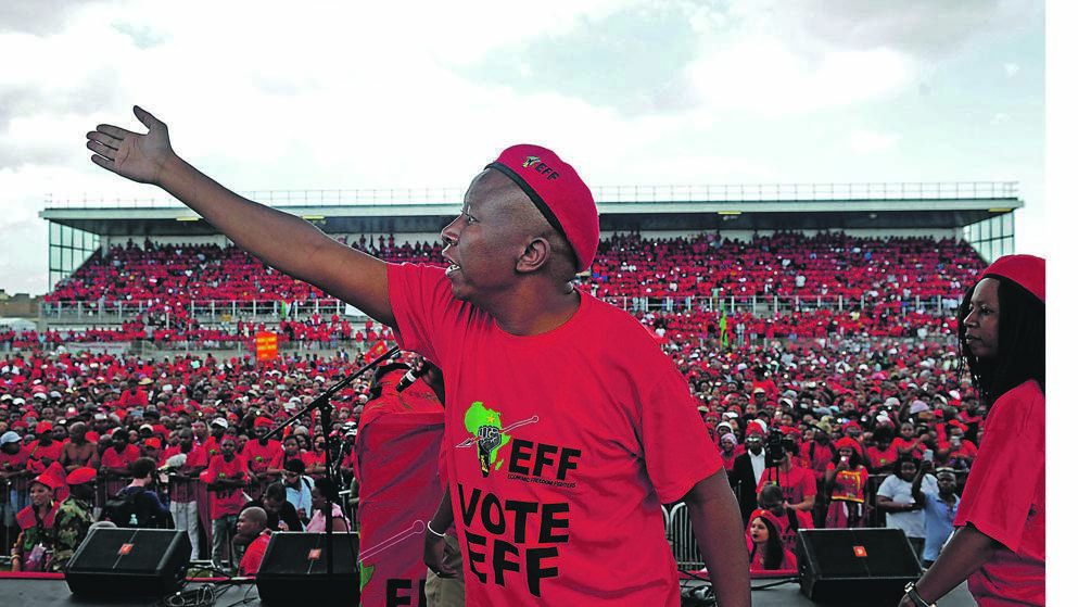 EFF leader Julius Malema. Picture: Mlungisi Louw/Netwerk24