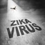 Study zeroes in on how Zika virus is passed from mom to foetus