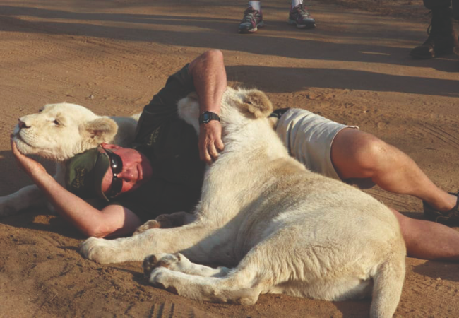 Bushveld horror: West Mathewson's shocking lion attack | You