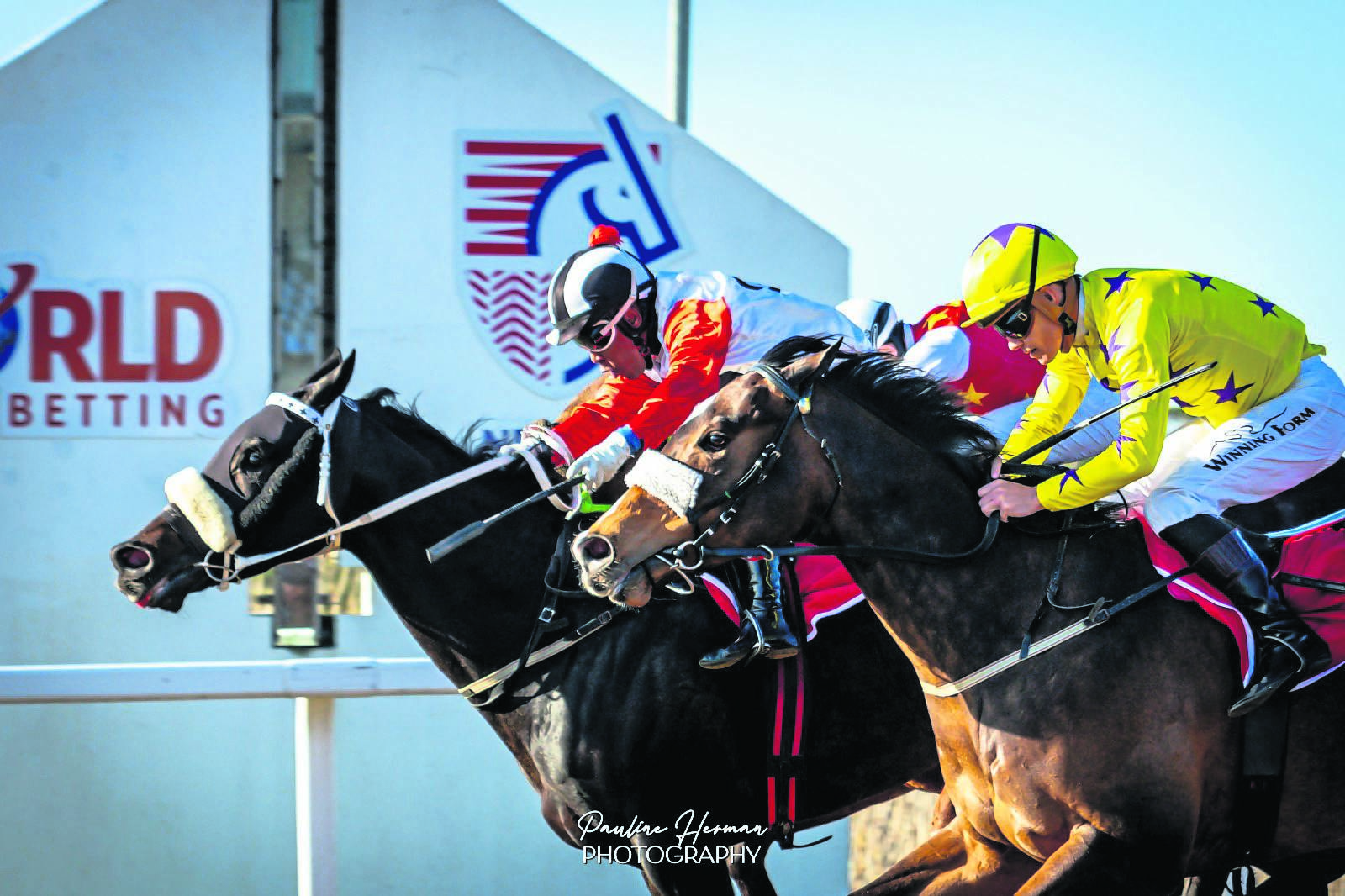 Prince of Fire wins with Muzi Yeni in the saddle. 