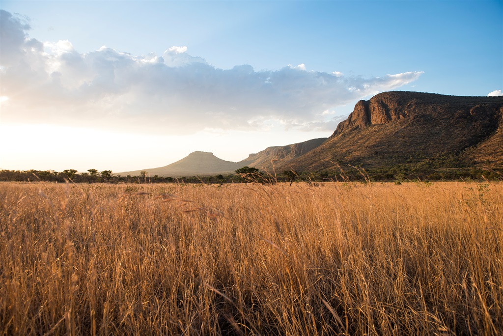 Grasslands and mountains at sunset, Marataba Private Game Reserve, Limpopo, South Africa. Photo: Galloimages/Gettyimages.com