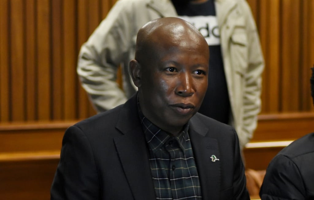 EFF leader Julius Malema at the Equality Court on Tuesday. Picture: Isabel Venter
